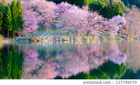 Yoh Yamazakura of Lake Nakanishi 137749570