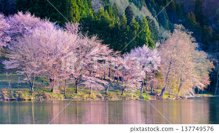 Yoh Yamazakura of Lake Nakanishi Yoh Yamazakura of Lake Nakanishi 137749576