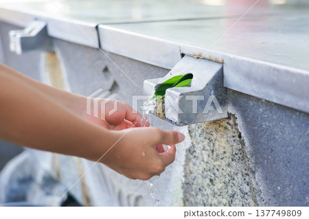 用綠葉洗手 137749809