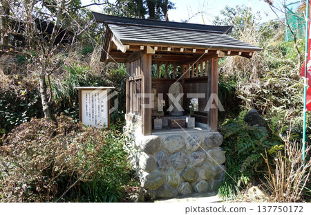 東京青梅市梅林山天澤院大士堂 東京青梅市梅林山天澤院大士堂 137750172
