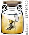 蜜蜂糖果 137750709