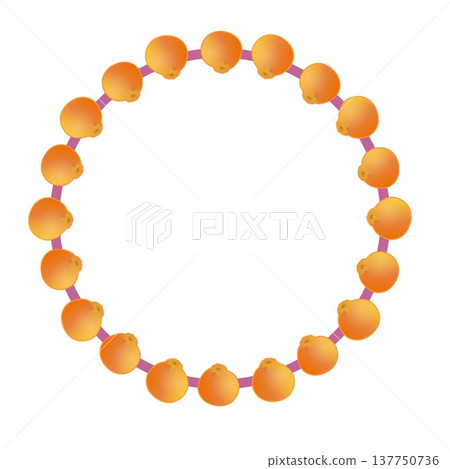 Illustration of a Dekopon orange with a circular background 137750736
