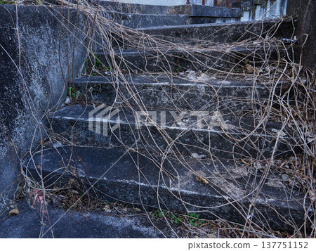 The dilapidated staircase of the ruins 137751152