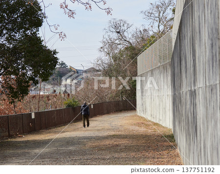 A senior man taking a walk in a quiet park. 137751192