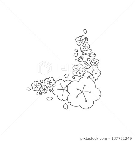 Hand-drawn cherry blossom corner material 137751249