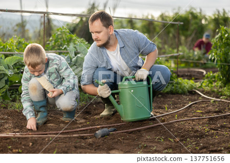 Man and his son planting seeds on a farm Man and his son planting seeds on a farm 137751656