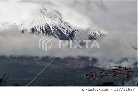 從朝霧高原看到的富士山及其白雪皚皚的山頂 137751657