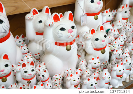 Tokyo, Japan - Sep 30 2024, A close-up view of many multi-sized white beckoning cat figure of Maneki neko with red ears and noses displayed at Gotokuji Temple, without people, at daytime, Tokyo, Japan Tokyo, Japan - Sep 30 2024, A close-up view of many multi-sized white beckoning cat figure of Maneki neko with red ears and noses displayed at Gotokuji Temple, without people, at daytime, Tokyo, Japan 137751854