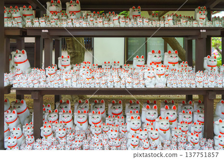 Tokyo, Japan - Sep 30 2024, A close-up view of many multi-sized white beckoning cat figure of Maneki neko with red ears and noses displayed at Gotokuji Temple, without people, at daytime, Tokyo, Japan Tokyo, Japan - Sep 30 2024, A close-up view of many multi-sized white beckoning cat figure of Maneki neko with red ears and noses displayed at Gotokuji Temple, without people, at daytime, Tokyo, Japan 137751857