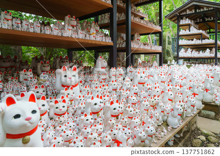 Tokyo, Japan - Sep 30 2024, A close-up view of many multi-sized white beckoning cat figure of Maneki neko with red ears and noses displayed at Gotokuji Temple, without people, at daytime, Tokyo, Japan Tokyo, Japan - Sep 30 2024, A close-up view of many multi-sized white beckoning cat figure of Maneki neko with red ears and noses displayed at Gotokuji Temple, without people, at daytime, Tokyo, Japan 137751862