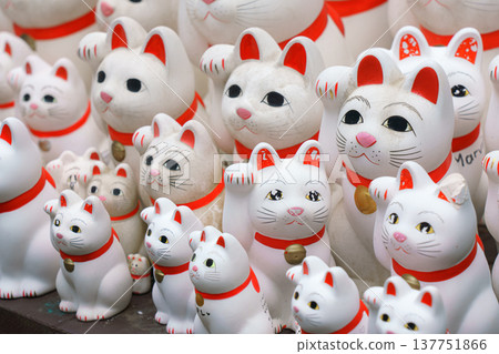 Tokyo, Japan - Sep 30 2024, A close-up view of many multi-sized white beckoning cat figure of Maneki neko with red ears and noses displayed at Gotokuji Temple, without people, at daytime, Tokyo, Japan Tokyo, Japan - Sep 30 2024, A close-up view of many multi-sized white beckoning cat figure of Maneki neko with red ears and noses displayed at Gotokuji Temple, without people, at daytime, Tokyo, Japan 137751866