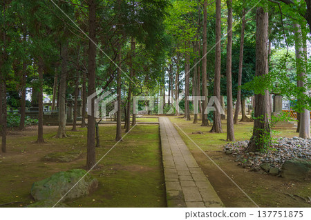 Tokyo, Japan - Sep 30 2024, Panoramic view of the cemetery on the grounds of Gotokuji Temple, without people, in cloudy weather, at daytime, Tokyo, Japan Tokyo, Japan - Sep 30 2024, Panoramic view of the cemetery on the grounds of Gotokuji Temple, without people, in cloudy weather, at daytime, Tokyo, Japan 137751875