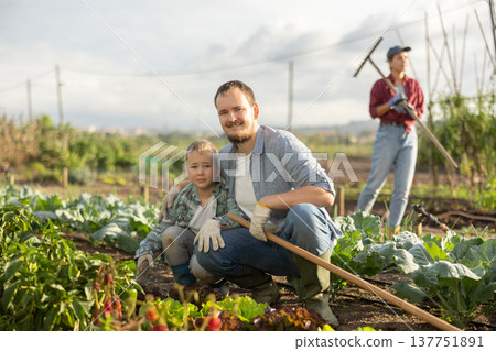 Young man and boy with lettuce beds in field 137751891