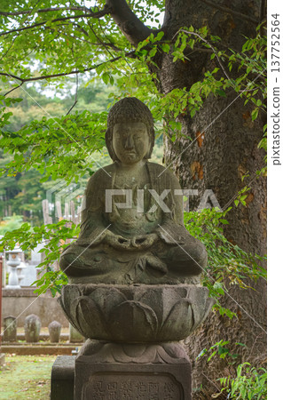 Tokyo, Japan - Sep 30 2024, Vertical close-up view of the ancient stone Buddha statue at the Gotokuji Temple Cemetery, at daytime, Tokyo, Japan 137752564