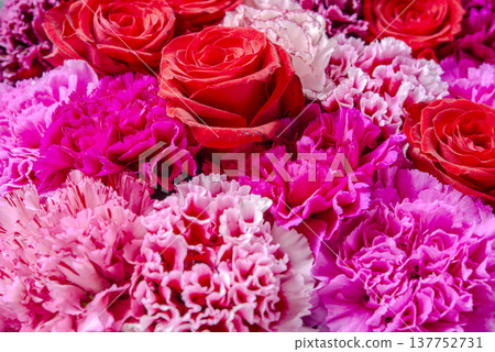 Colorful rose flowers 137752731