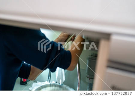 Kitchen faucet replacement 137752937