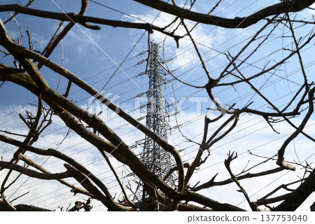 Clear sky and electricity transmission tower Clear sky and electricity transmission tower 137753040