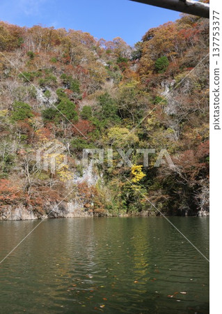 Taishaku Gorge in Autumn, Lake Shinryu Taishaku Gorge in Autumn, Lake Shinryu 137753377