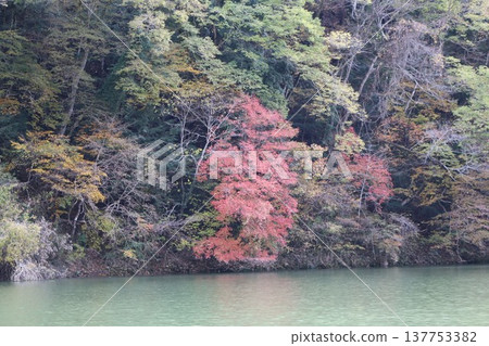 秋天的大石峽、新龍湖 137753382