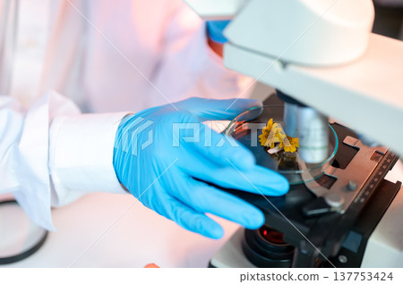 Close up of scientist researcher looking at test sample in petri dish over microscope working in lab Close up of scientist researcher looking at test sample in petri dish over microscope working in lab 137753424