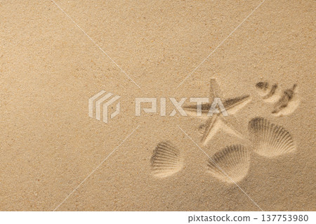 Starfish and seashells are resting on warm beach sand Starfish and seashells are resting on warm beach sand 137753980
