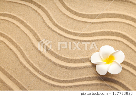 Sand patterns and a flower create a summer vibe at the beach Sand patterns and a flower create a summer vibe at the beach 137753983