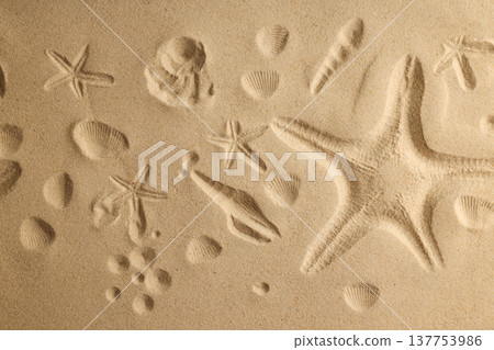 Starfish and shells captured in sand at the beach Starfish and shells captured in sand at the beach 137753986