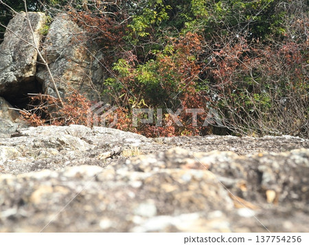 落基山路 落基山路 137754256