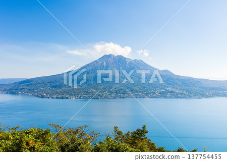 鹿兒島縣鹿兒島市的秋天：從吉野公園眺望櫻島。 137754455