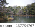A Japanese garden with a pond and pine trees in winter. 137754767