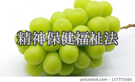 [Mental Health-Related Laws] Mental Health and Welfare Act (Background: Shine Muscat grapes) 137755080