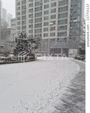 park, snow, snowy 137755137