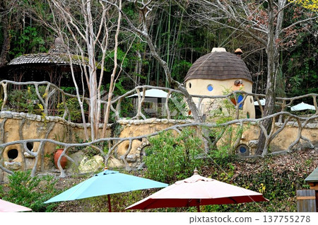 A picture-book-like scene in the park A picture-book-like scene in the park 137755278