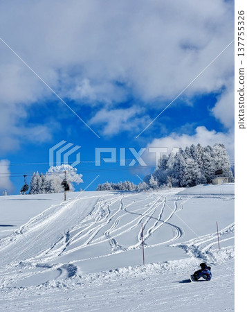 從野澤溫泉滑雪場的纜車上看到的景色 從野澤溫泉滑雪場的纜車上看到的景色 137755326