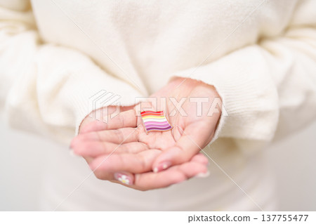 International Lesbian October Day, Lesbian Visibility April Day and Happy Pride June month and LGBTQIA with flag Brooch pin for LGBTQ, Marriage Equality Law, Pansexual, Demisexual and transgender 137755477