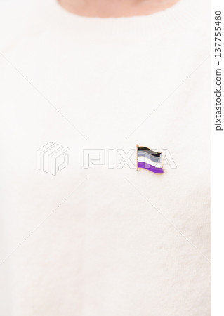 International Asexuality April Day and Happy Pride June month and LGBTQIA with flag Brooch pin for LGBTQ, Marriage Equality Law, Pansexual, Demisexual and transgender 137755480
