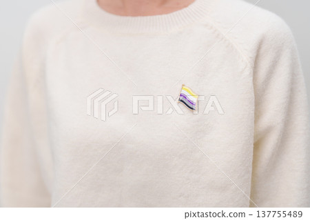 International Non Binary People July Day and Happy Pride June month and LGBTQIA with flag Brooch pin for LGBTQ, Marriage Equality Law, Pansexual, Demisexual and transgender 137755489