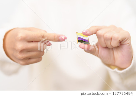 International Non Binary People July Day and Happy Pride June month and LGBTQIA with flag Brooch pin for LGBTQ, Marriage Equality Law, Pansexual, Demisexual and transgender 137755494