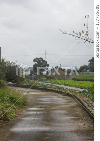 field, house, road 137755605