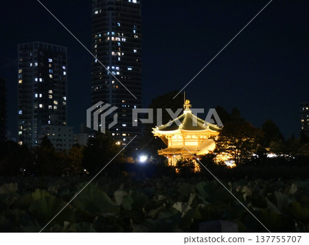 The golden Shinobazu Bentendo Temple in Ueno 137755707