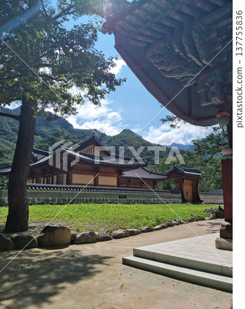 gate, hanok, house 137755836