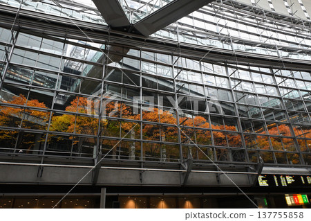 Tokyo International Forum Glass Building Tokyo International Forum Glass Building 137755858