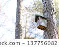 Birdhouse in forest 137756082