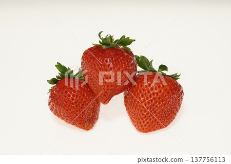 Bright red strawberries, "Ookimi" variety, from Kochi Prefecture. Bright red strawberries, "Ookimi" variety, from Kochi Prefecture. 137756113
