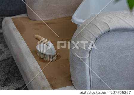 Cleaning a couch with a brush during a home maintenance task 137756257