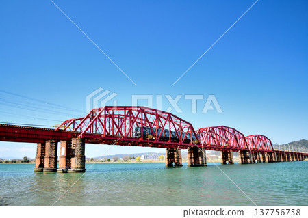 The "Auspicious Train" (Nankai Electric Railway, Kashira) running across the Kinokawa Bridge [Wakayama City, Wakayama Prefecture] 137756758