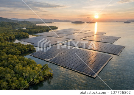 Floating Solar Farm Integrated with Mangrove Forest at Sunrise 137756802
