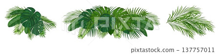 Tropical green palm leaves set. Lush foliage create exotic jungle atmosphere. Realistic vector fronds with monstera, banana leaves and palm plants form natural botanical frame for summer designs Tropical green palm leaves set. Lush foliage create exotic jungle atmosphere. Realistic vector fronds with monstera, banana leaves and palm plants form natural botanical frame for summer designs 137757011