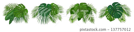 Realistic tropical palm leaves set, green exotic foliage. Jungle lush coconut palm fronds with vibrant monstera plants perfect for summer beach designs. Vector illustration Realistic tropical palm leaves set, green exotic foliage. Jungle lush coconut palm fronds with vibrant monstera plants perfect for summer beach designs. Vector illustration 137757012