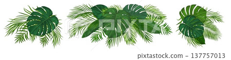 Realistic green tropical foliage set with exotic monstera and coconut fronds. Vibrant tropical palm leaves. Vector jungle greenery for Hawaiian summer party invitations and paradise designs Realistic green tropical foliage set with exotic monstera and coconut fronds. Vibrant tropical palm leaves. Vector jungle greenery for Hawaiian summer party invitations and paradise designs 137757013
